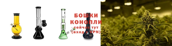 кокс Белокуриха