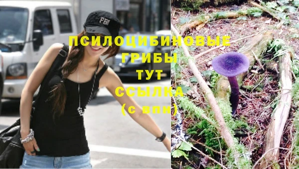 ешки Богданович