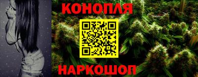гашик Обь