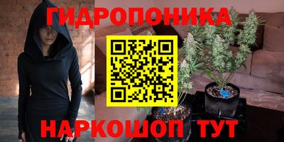 гашик Обь