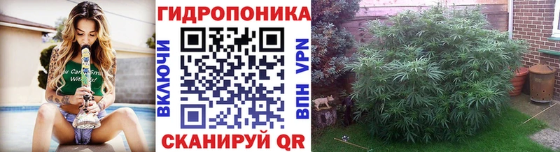 Каннабис план  omg как зайти  Сланцы 
